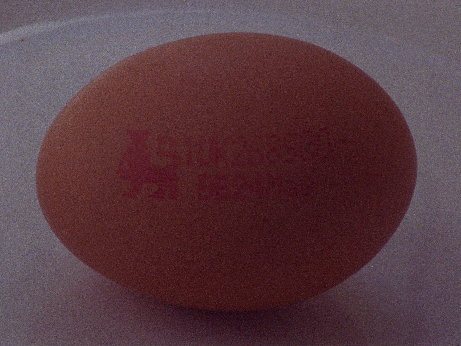 16 mm film still: an egg printed with an expiry date